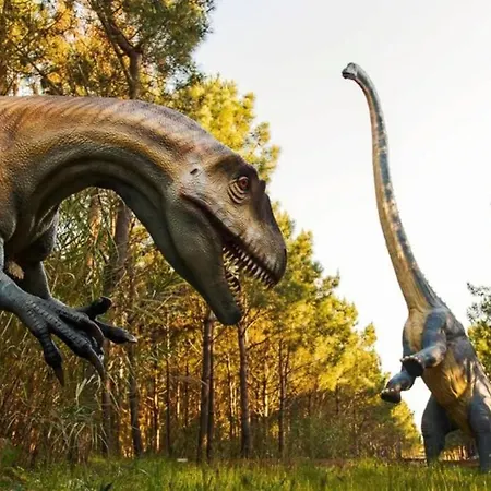 Casa Do Sol Appartement *